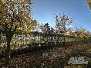 image_13