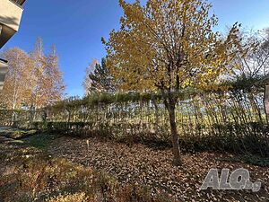 image_14