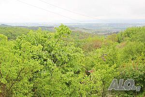 Отличен парцел с гледка към морето, подходящ за застрояване в с. Доброглед до Варна