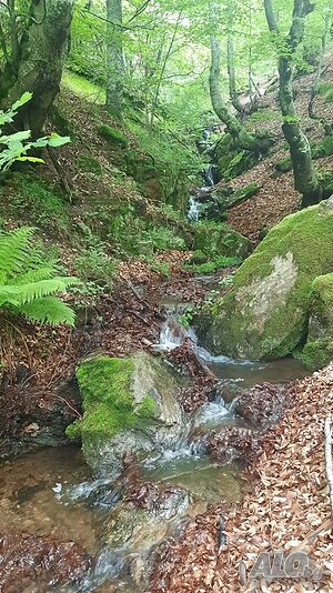 image_12