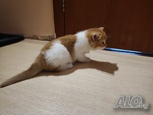 image_7