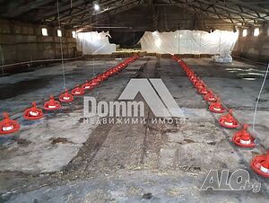 image_8