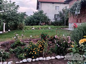 image_11