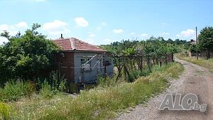 image_15