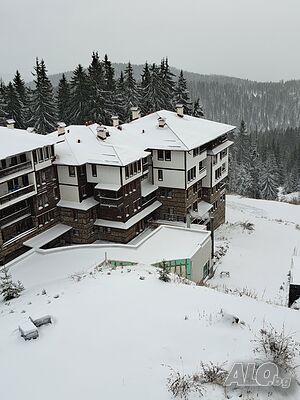 image_11