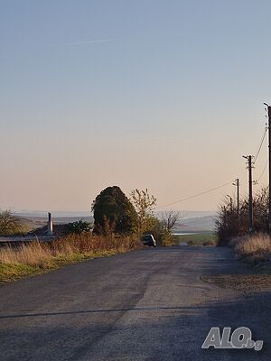 image_7