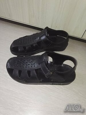image_3