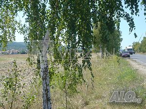 image_11