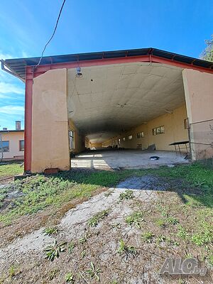 image_8