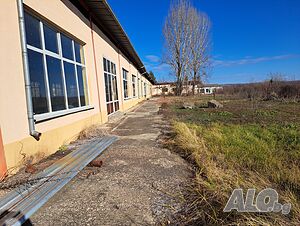 image_5