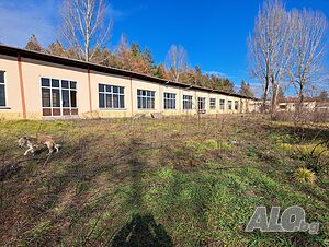 image_4