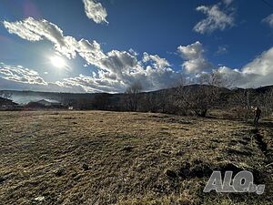 image_9