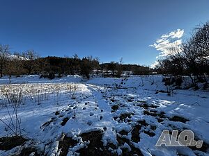 image_6