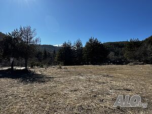 image_7