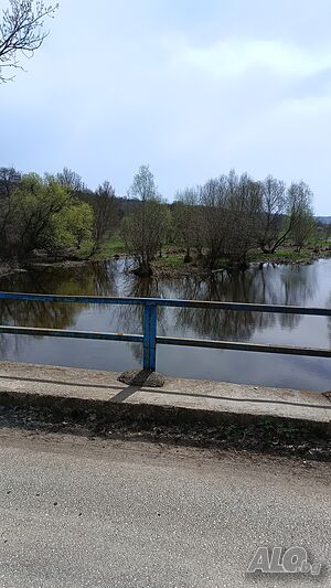 image_10