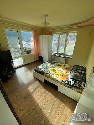 image_6