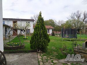 image_4