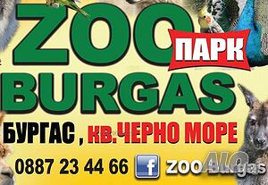 Работници в зоопарк Бургас - мъже. жени. сем /осигорена квартира/