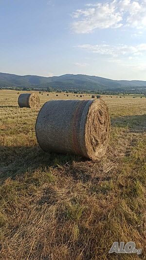 Продавам Рулонни Бали Сено, село Ковачевци (Самоковско)